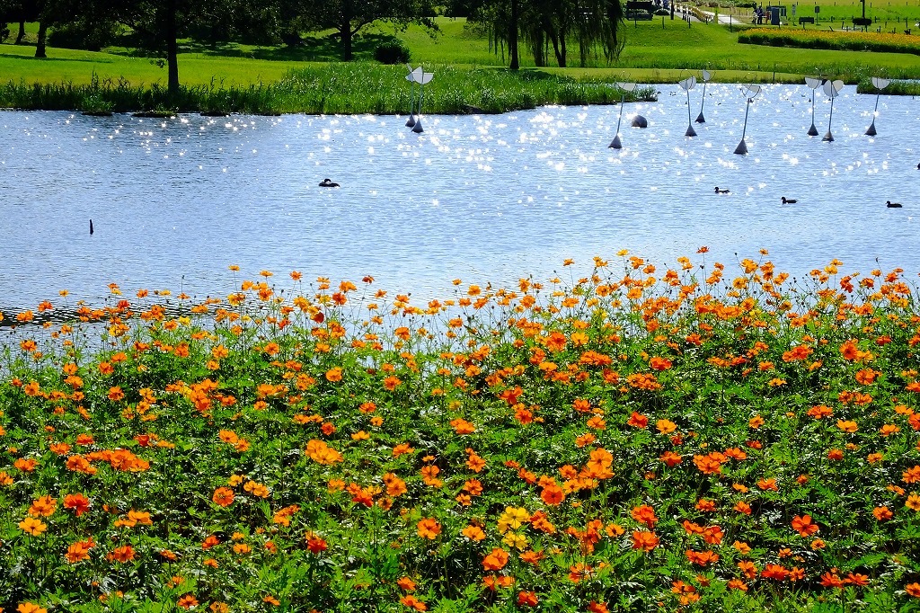 b0236251_08431076.jpg