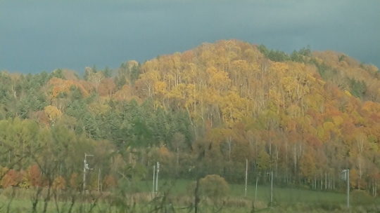 c0328559_13572687.jpg