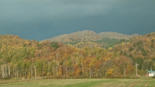 c0328559_13574130.jpg