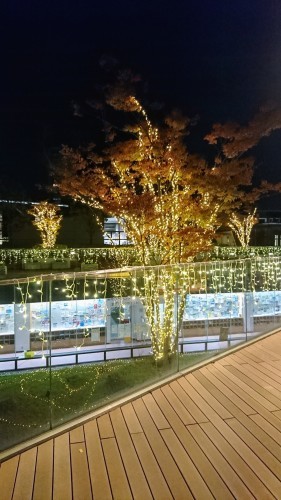 中央大学で授業_e0249060_10590255.jpg