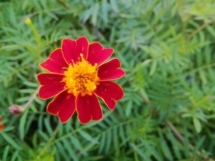 b0368362_14094990.jpg
