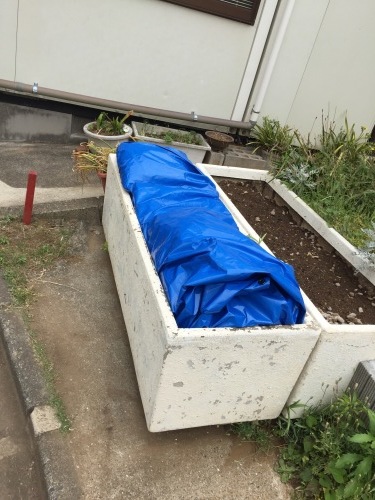N団地_米PJ始動_d0200862_20073413.jpg