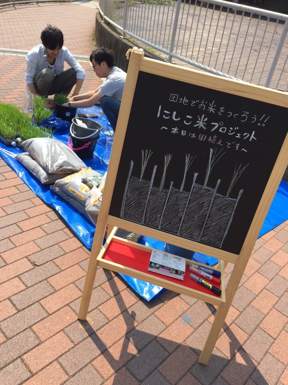 米PJ_田植えイベント_d0200862_21264134.jpg