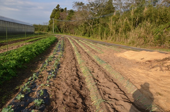 f0186462_00124665.jpg