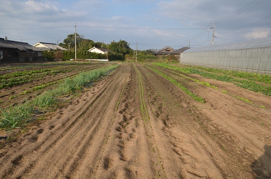 f0186462_00130049.jpg