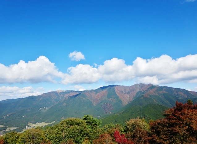 c0099564_18065913.jpg