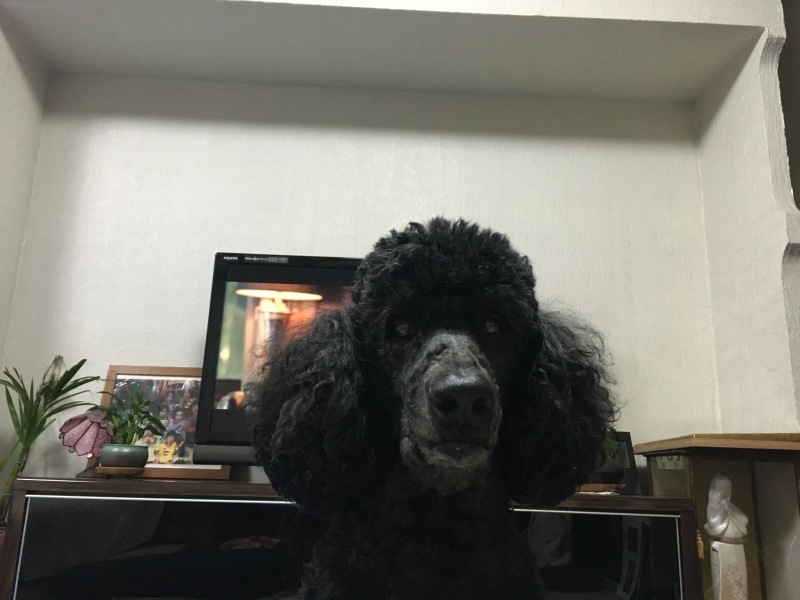 c0283778_22371734.jpeg