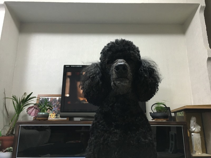 c0283778_22381698.jpeg