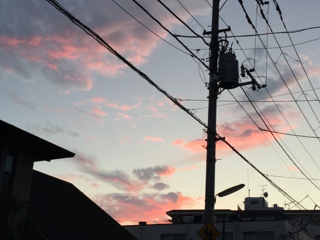 b0202479_17414930.jpeg