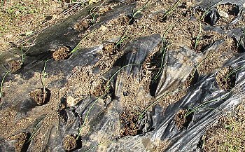 f0003283_07493269.jpg