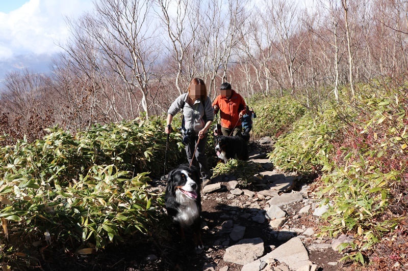 予定変更　山登りだよ_b0158390_12261070.jpg