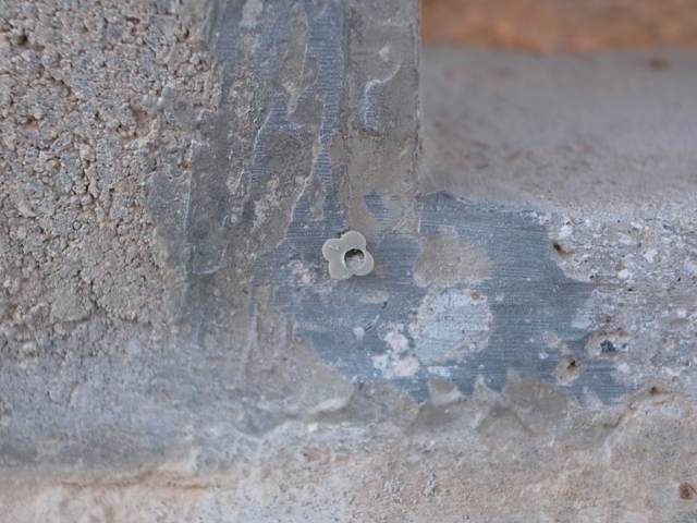 a0336693_13084688.jpg