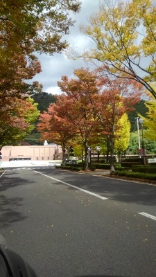 e0392895_16120470.jpg