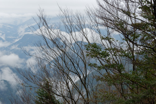 e0366896_19375511.jpg