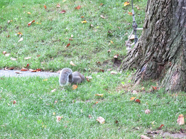 f0346196_09563572.jpg