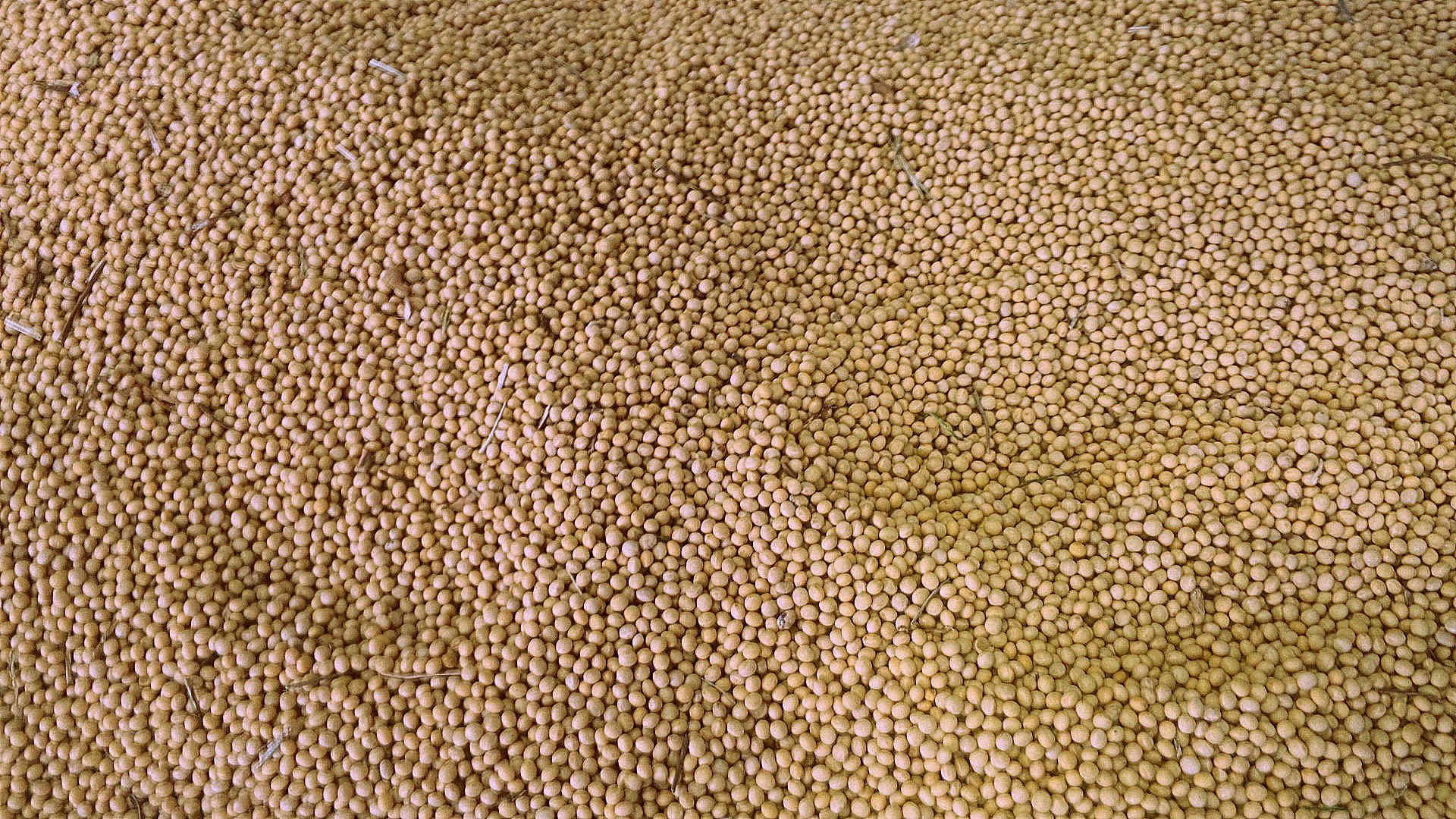 f0371899_07555276.jpg