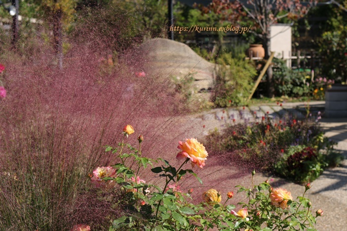 a0123003_00043153.jpg