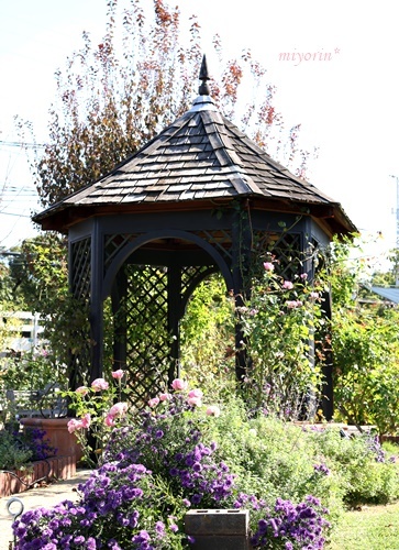 a0123003_00374896.jpg