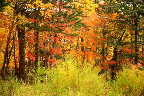 a0263109_09555303.jpg