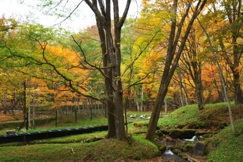 a0263109_10070474.jpg