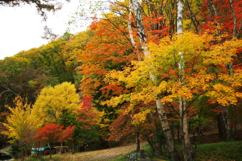 a0263109_10432307.jpg