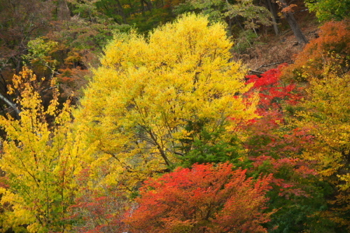 a0263109_10460466.jpg
