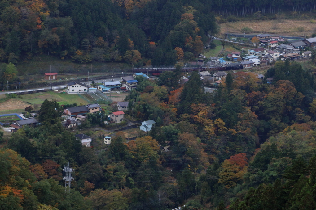 去年の荒川上流の紅葉 - 秩父・2017年秋 -_b0190710_22264150.jpg