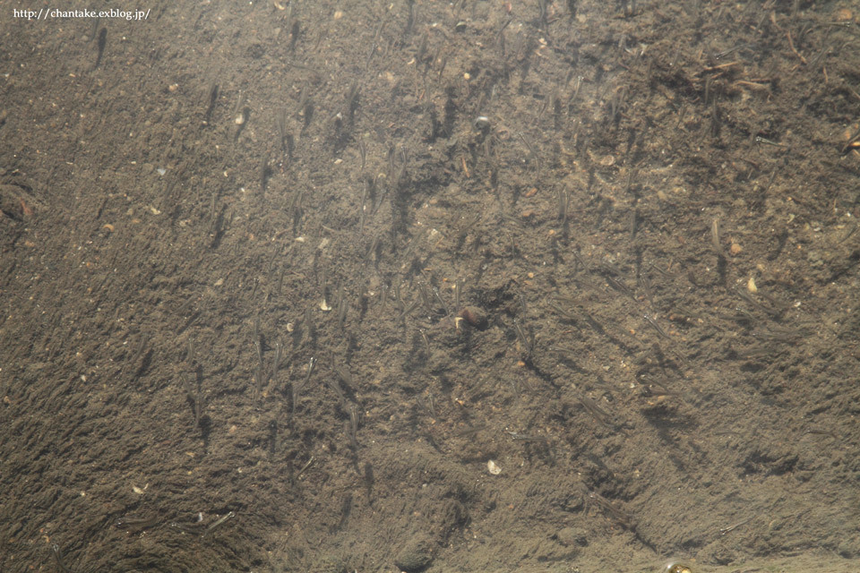 c0189013_05445195.jpg