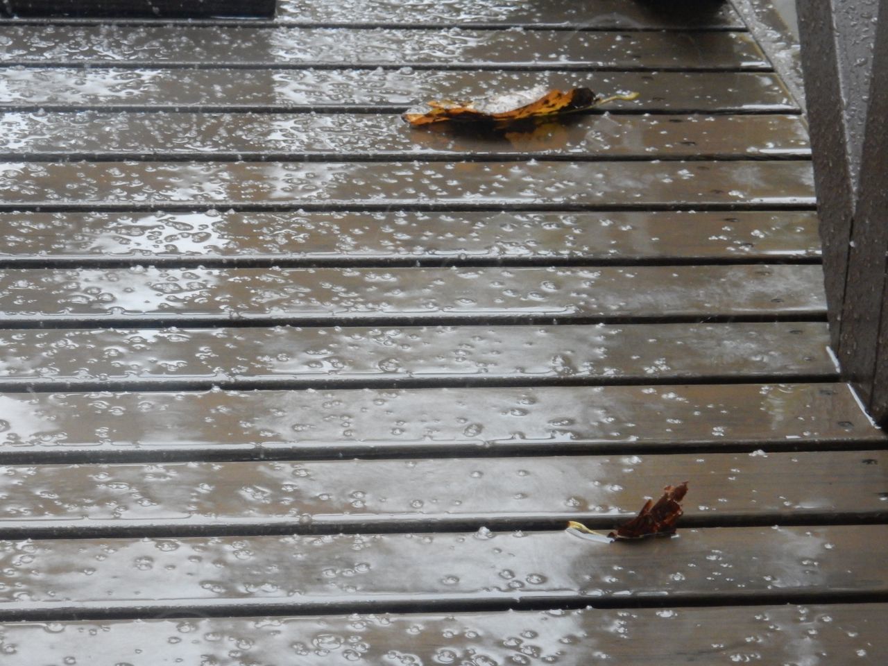 10月最後の1日_c0025115_23044720.jpg