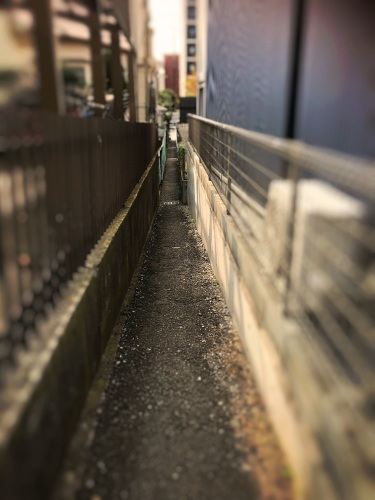 e0175915_12575394.jpeg