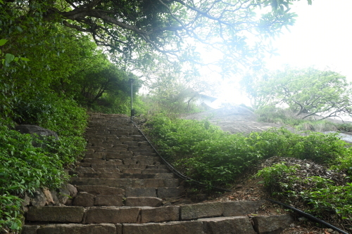 d0332816_22082011.jpg
