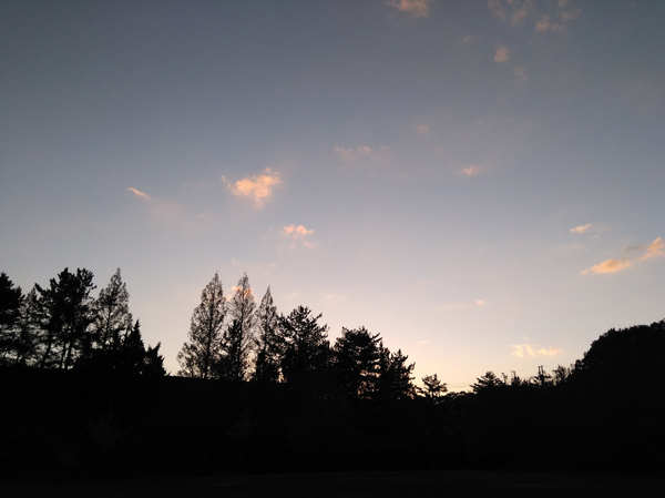 e0083517_00001232.jpg