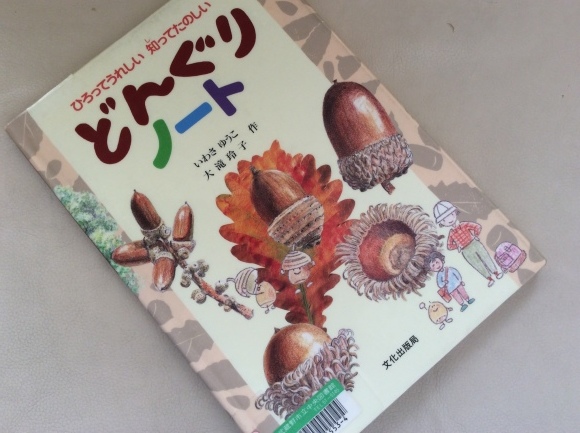雑木林をつくろう 〜どんぐり大作戦〜_d0348118_09364922.jpeg