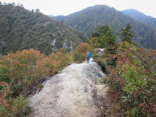 魚沼市　奥只見の秘峰 未丈ヶ岳の紅葉と山頂草原　　　　　Mount Mijogatake in Uonuma, Niigata_f0308721_22454944.jpg