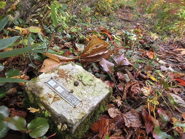 魚沼市　奥只見の秘峰 未丈ヶ岳の紅葉と山頂草原　　　　　Mount Mijogatake in Uonuma, Niigata_f0308721_22500757.jpg