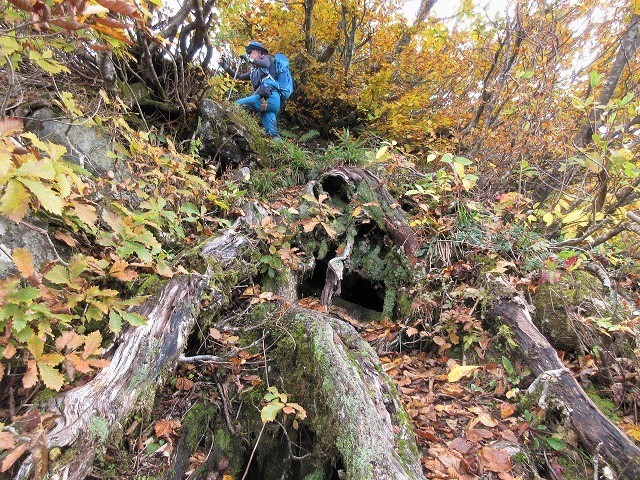 魚沼市　奥只見の秘峰 未丈ヶ岳の紅葉と山頂草原　　　　　Mount Mijogatake in Uonuma, Niigata_f0308721_22532585.jpg