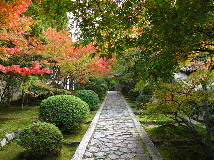 そうだ 京都、行こう。 －2018年紅葉 一休寺－ _b0169330_0143573.jpg