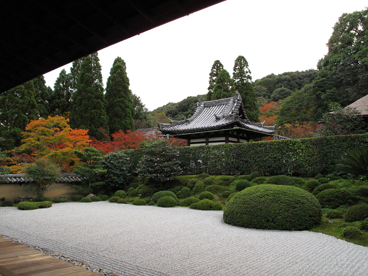 そうだ 京都、行こう。 －2018年紅葉 一休寺－ _b0169330_7213598.jpg