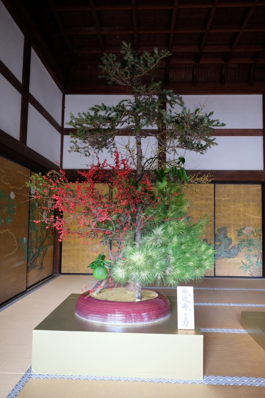 神戸から帰って来てから今まで。_f0045630_07350093.jpg