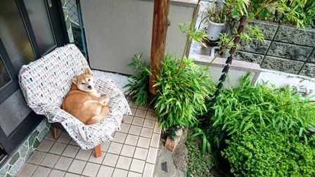 ホ オポノポノが続かない たった1つの理由と解決方法 ホ オポノポノと心理の探求 ホ オポノポノが続かない たった1つの理由と解決方法 ホ オポノポノと心理の探求