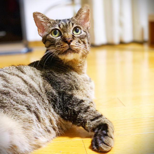 奇跡の復活かな。_d0355333_22361927.jpg