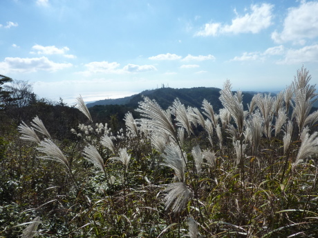 岡本から六甲山最高峰_c0218841_15412866.jpg