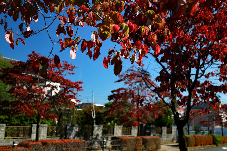 a0120949_06135696.jpg