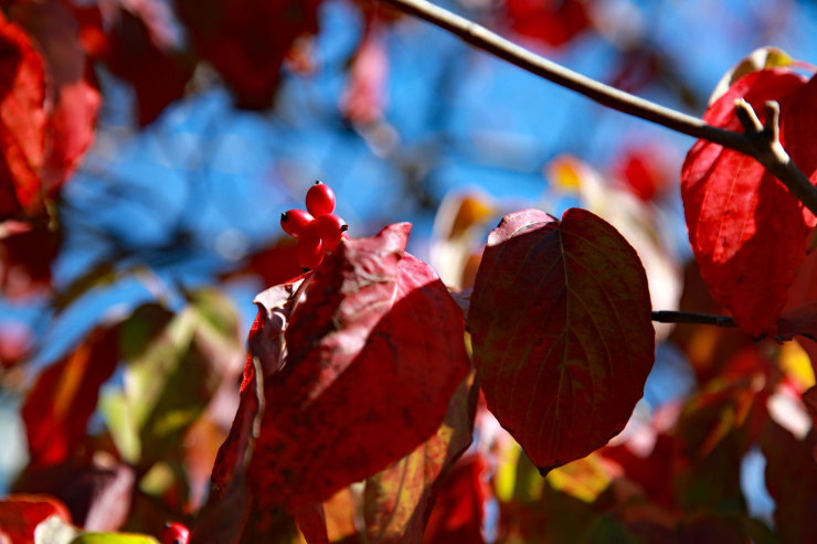a0120949_06142516.jpg