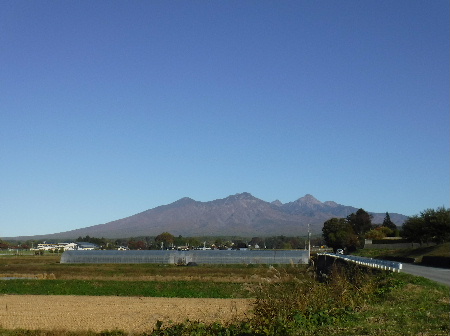 e0172950_20232195.jpg