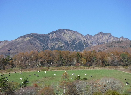 e0172950_20283573.jpg