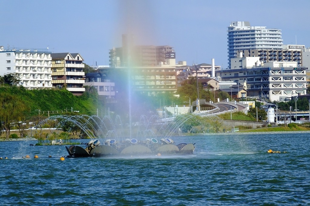 水戸、千波湖で湖畔を歩く。_b0236251_09154621.jpg