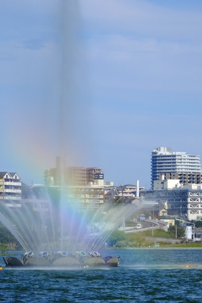 水戸、千波湖で湖畔を歩く。_b0236251_09154951.jpg