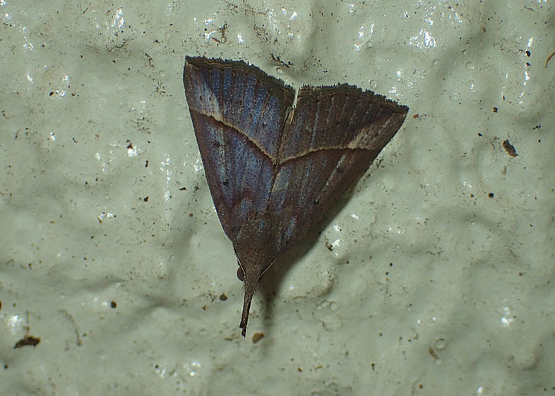 d0146854_21064702.jpg