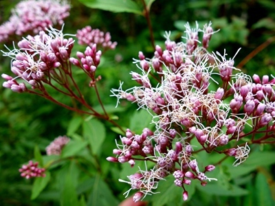 e0012055_23405070.jpg